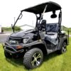 New Gas Golf Cart UTV Hybrid Linhai - Image 2