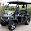 New Gas Golf Cart UTV Hybrid Linhai - Image 5