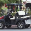New Gas Golf Cart UTV Hybrid Linhai - Image 41