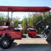 Wild Cat Electric Golf Cart Limo - Image 11