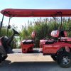 Wild Cat Electric Golf Cart Limo - Image 12