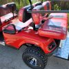 Wild Cat Electric Golf Cart Limo - Image 16