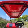 Wild Cat Electric Golf Cart Limo - Image 20
