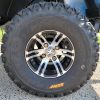 Wild Cat Electric Golf Cart Limo - Image 9