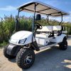 Wild Cat Electric Golf Cart Limo
