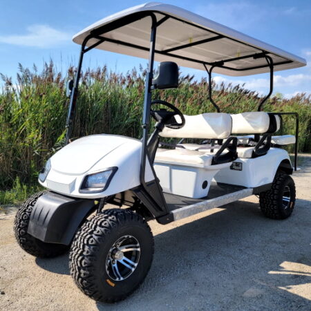Wild Cat Electric Golf Cart Limo