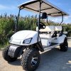 Wild Cat Electric Golf Cart Limo - Image 24