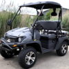 New Gas Golf Cart UTV Hybrid Linhai - Image 19