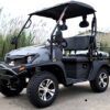 New Gas Golf Cart UTV Hybrid Linhai - Image 20