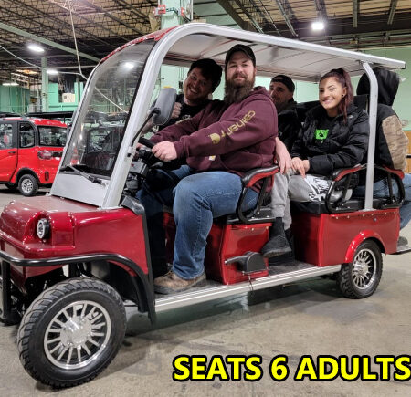 Electric Golf Cart Limo LSV