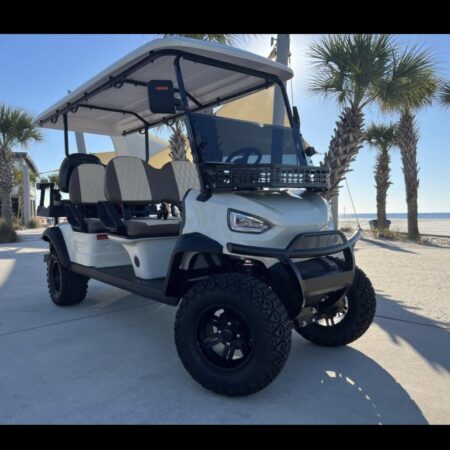 2023 Vivid EV V6L White - Lithium