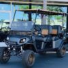 2022 Ezgo custom golf carts - Image 3