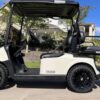 CREAM WHITE 2009 EZGO RXV Golf Cart - Image 4