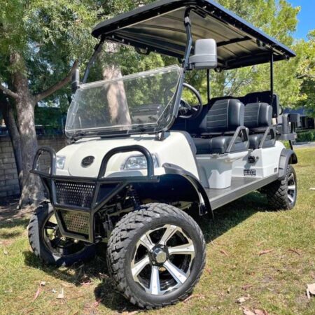 2022 Evolution Forester 6 seater electric
