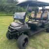 Grey 2024 Helios Glamour. 4+2 Seats Electric - Image 10