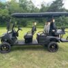 Grey 2024 Helios Glamour. 4+2 Seats Electric - Image 2