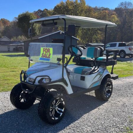 2018 EZGO TXT 48v 2023 batteries