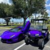 Purple Stunning 2020 Custom club car tempo - Image 4