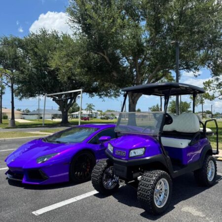 Purple Stunning 2020 Custom club car tempo