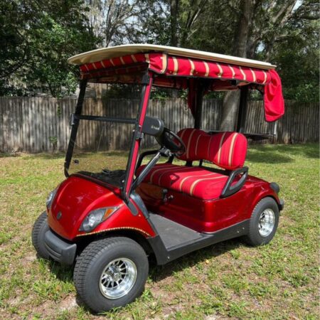 2013 Yamaha Gas 2 seater