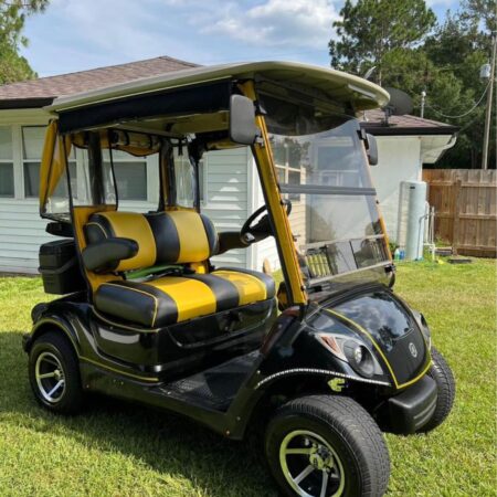 2009 Yamaha Gas 2 seater.