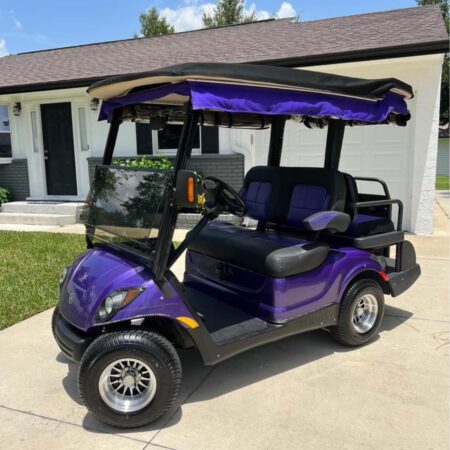 2011 Yamaha Gas 4 seat