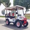 2024 Electric Zhenda golf carts ZD-C series