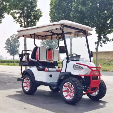 2024 Electric Zhenda golf carts ZD-C series