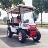 2024 Electric Zhenda golf carts ZD-C series - Image 13