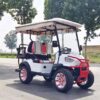 2024 Electric Zhenda golf carts ZD-C series - Image 15