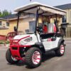 2024 Electric Zhenda golf carts ZD-C series - Image 14