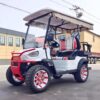 2024 Electric Zhenda golf carts ZD-C series - Image 10