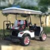 2024 Electric Zhenda golf carts ZD-C series - Image 3