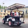 2024 Electric Zhenda golf carts ZD-C series - Image 11