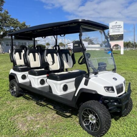 White 2025 Evolution Electric Vehicles D5-Maverick 6 Plus.