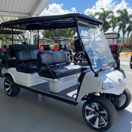 Mineral White 2025 Evolution Electric Vehicles Carrier 6 Plus.