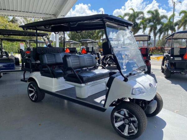 Mineral White 2025 Evolution Electric Vehicles Carrier 6 Plus.