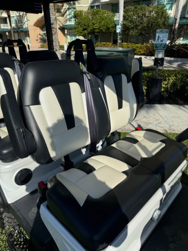 Evolution d5 4 facing forward golf cart lithium battery - Image 5