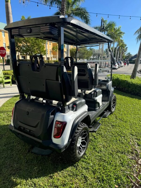 Evolution d5 4 facing forward golf cart lithium battery - Image 8