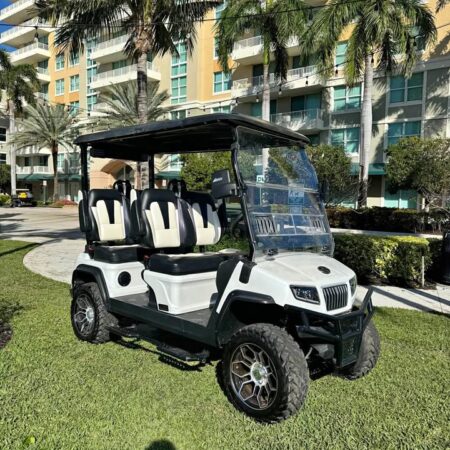 Evolution d5 4 facing forward golf cart lithium battery