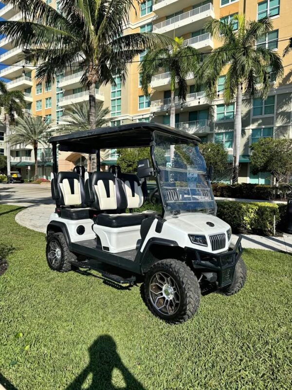 Evolution d5 4 facing forward golf cart lithium battery