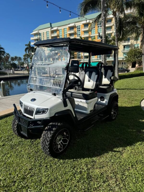 Evolution d5 4 facing forward golf cart lithium battery - Image 3