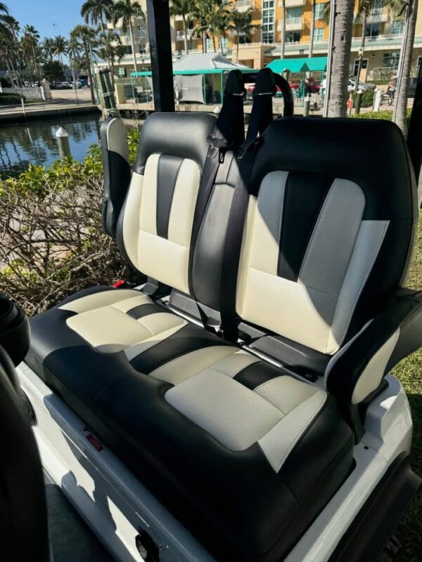 Evolution d5 4 facing forward golf cart lithium battery - Image 7