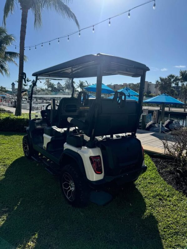 Evolution d5 4 facing forward golf cart lithium battery - Image 6