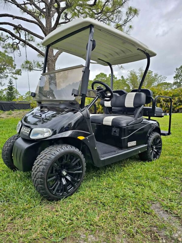 2010 Ezgo RXV Golf Cart *48v - Image 8