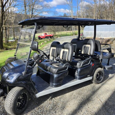 2022 STAR EV STAR EV Sirius 4+2 Electric