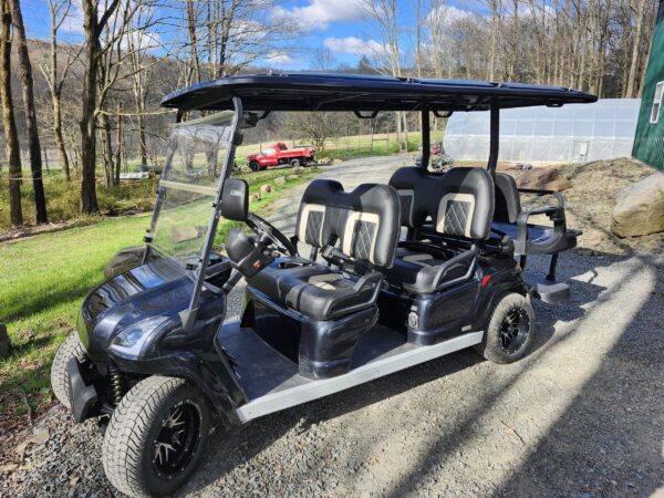 2022 STAR EV STAR EV Sirius 4+2 Electric