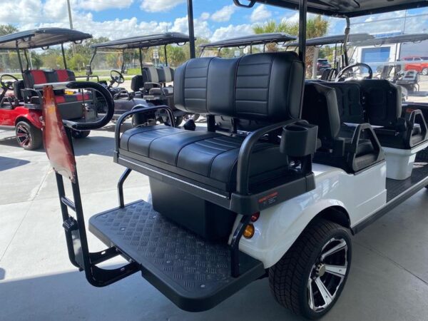 Mineral White 2025 Evolution Electric Vehicles Carrier 6 Plus. - Image 3