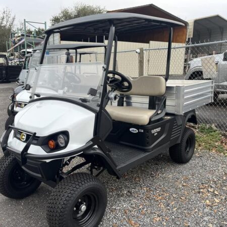 Bright White 2025 Cushman® Hauler 1200X Gas.
