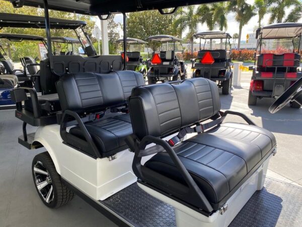 Mineral White 2025 Evolution Electric Vehicles Carrier 6 Plus. - Image 5